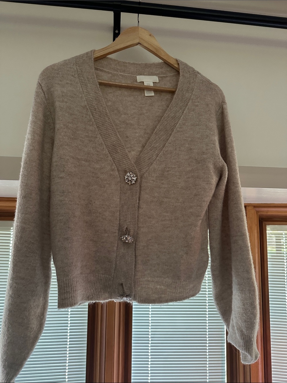 H&M Taupe V-Neck Cardigan with Jeweled Buttons